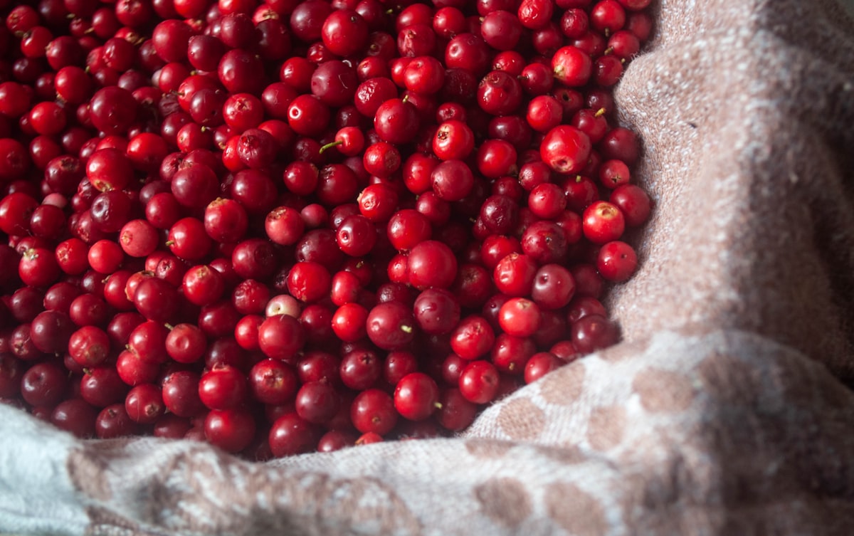 Fruits naturels frais